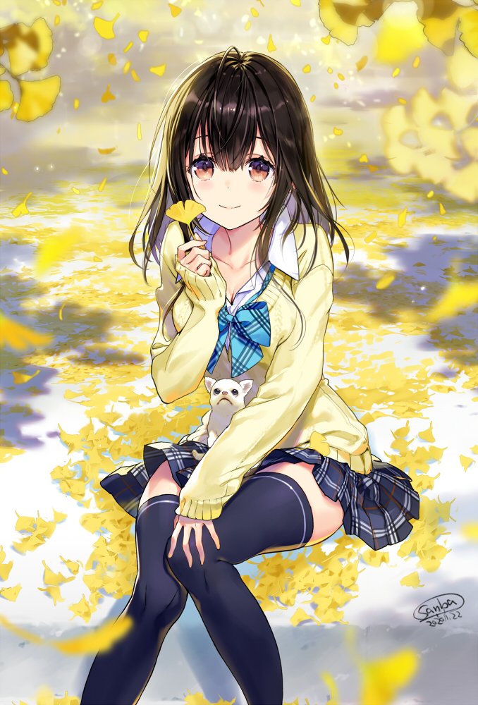 「出遅れましたが #いいニーハイの日 」|さんば挿🐶のイラスト