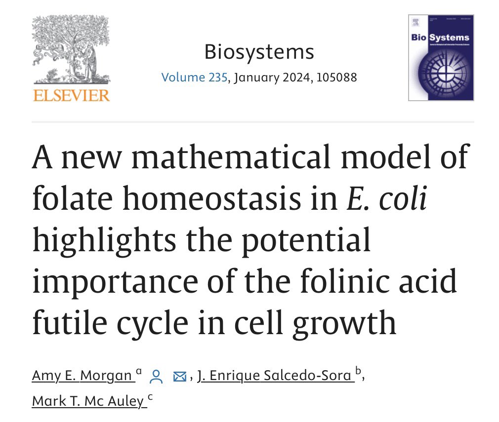 Latest paper in #Biosystems with <a href="/AmyEMorgan/">Amy Morgan</a> <a href="/LivHopeSHSS/">Liverpool Hope School of Health and Sport Sciences</a> &amp; Enrique Salcedo Sora from the University of Liverpool. We created an insilico model of E. coli to better understand the role folate metabolism plays in cell proliferation. tinyurl.com/4pr9x7e6
