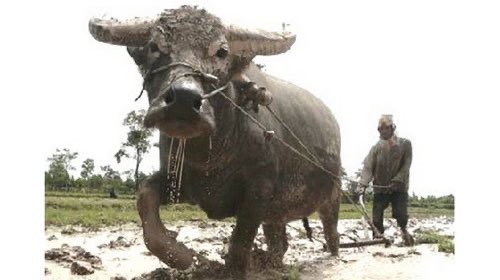 Góc #invest (15): 🌤️ GM cả nhà, một người bạn từng chia sẻ với mình rằng tư duy đầu tư đúng đến từ việc tích luỹ kinh nghiệm và kiến thức, từ người làm thuê, trở thành ông/bà chủ nhỏ, rồi đến làm chủ doanh nghiệp lớn, trước khi chúng ta trở thành nhà