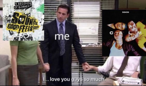 hourly 5SOS meme content 🍉 (@hourlymemesos) on Twitter photo 