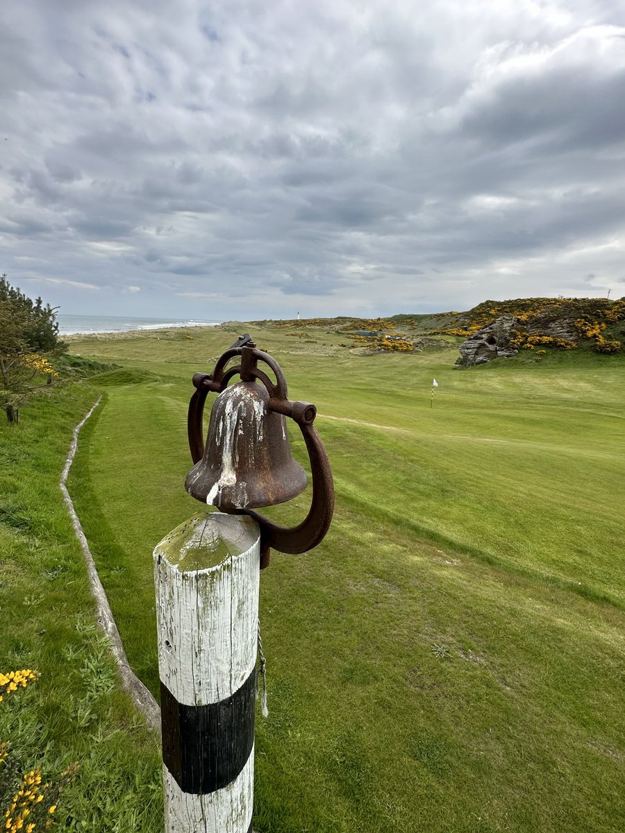 Hickories and Links tweet media