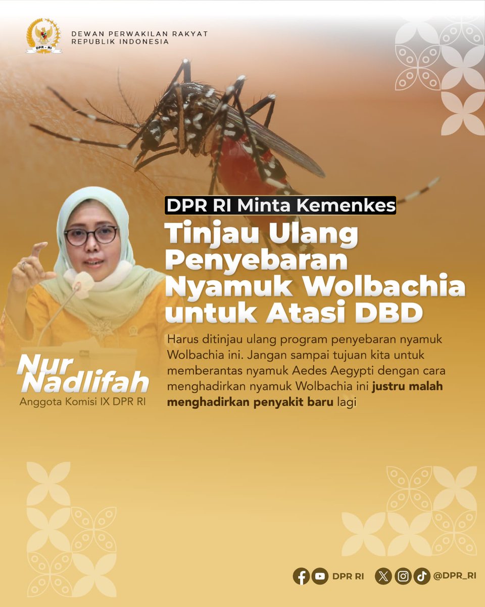 Kementerian Kesehatan di minta benar2 serius utk menuntaskan penanganan demam berdarah. Termasuk dgn tetap mengedukasi masyarakat.
#Komisi9 DPR jg ingin mendengar penjelasan dr Kementerian Kesehatan secara detil terkait penyebaran nyamuk #Wolbachia yg disebut dpt memberantas DBD.