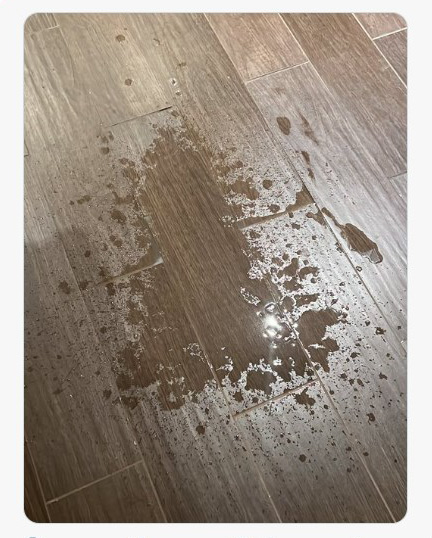 Cleanup on Isle 69...Tile floors are the best! https://t.co/gCszRqT1xN<a href="/tag/healthy"class="tags"><span>#healthy</span></a><a href="/tag/phoebeswinger"class="tags"><span>#phoebeswinger</span></a><a href="/tag/phoebeswingersparkles"class="tags"><span>#phoebeswingersparkles</span></a>