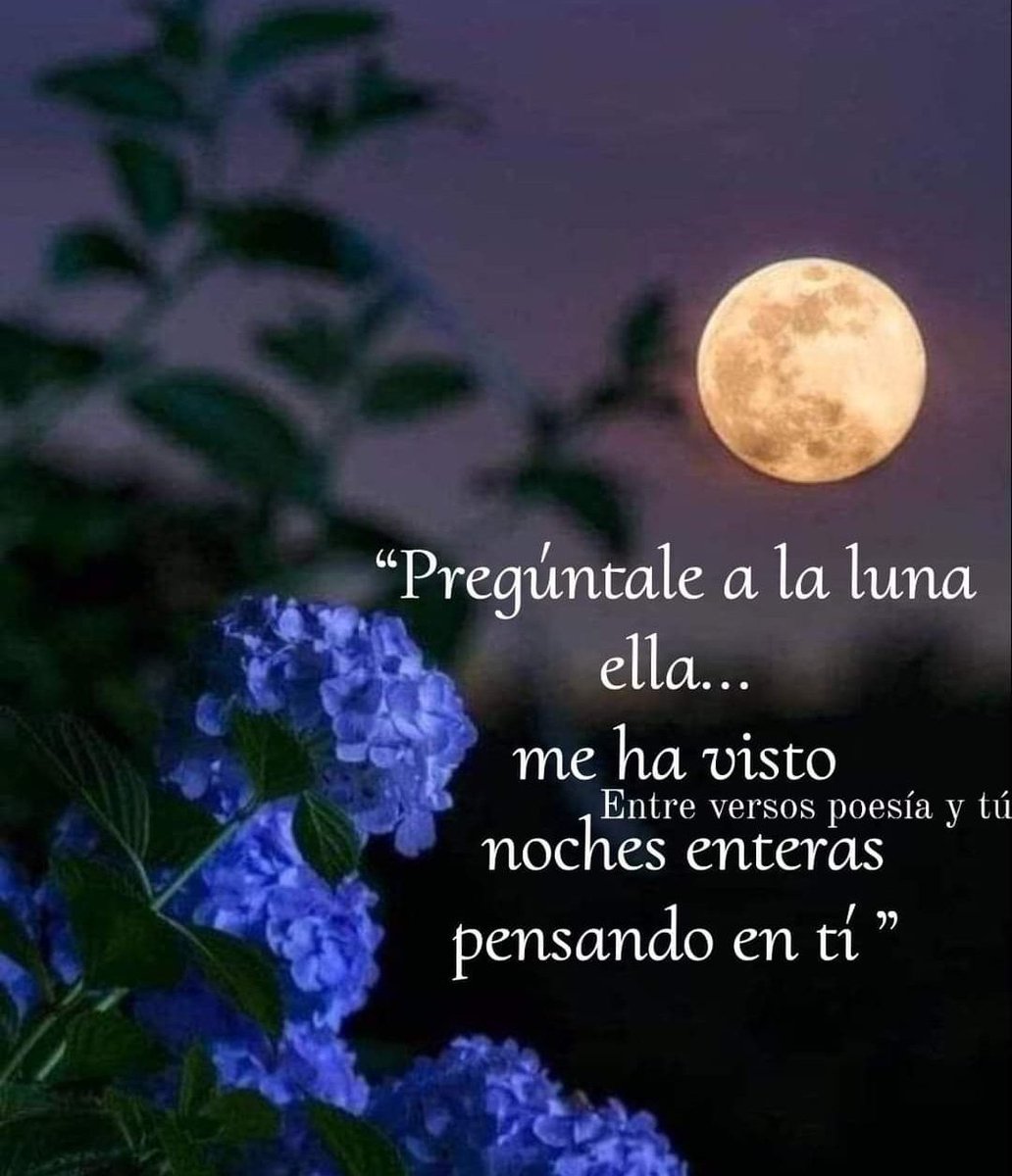 Como un estrella fugaz, iluminas mi cielo y al instante la oscuridad. Te pienso. Volverás?