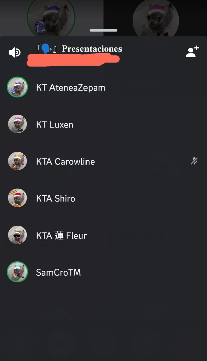 Los perretes navideños Sam 🫶🏻