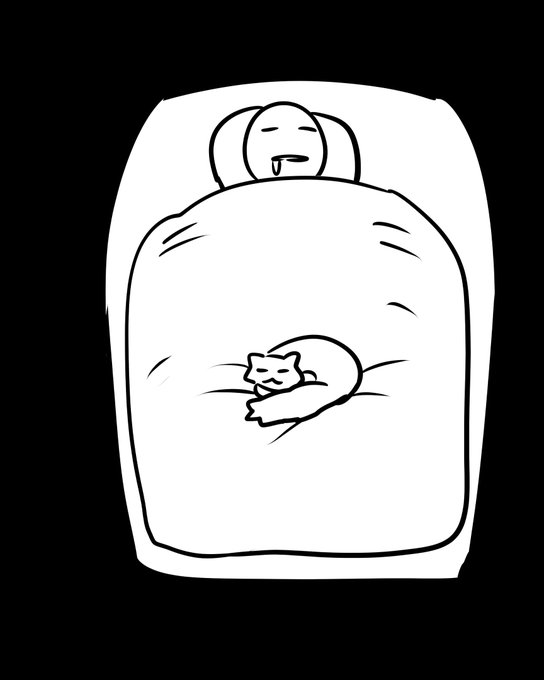 猫が収まるポケットを作って寝てる