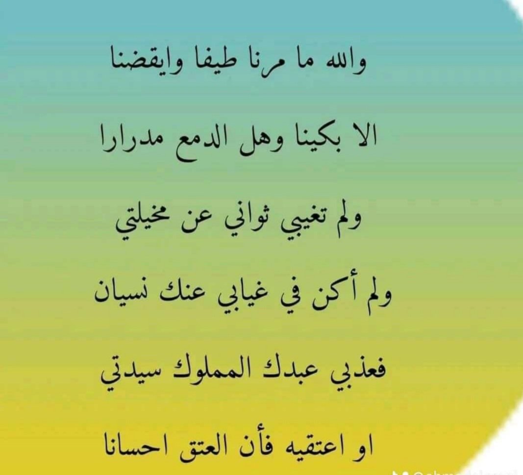 hashbel2's tweet image. 