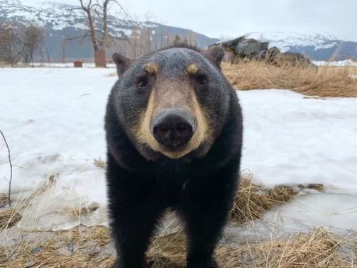 _lfhy's tweet image. just so you know he can hear u