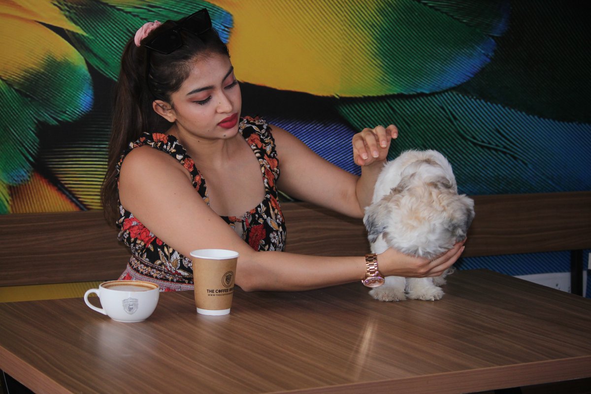 CoffeeBrewery's tweet image. No need to leave your best buddy behind!
The Coffee Brewery is your pet's favourite spot too Because Coffee is best when enjoy with a side of wagging tails &amp;amp; happy purrs!
Bring your pets and soak in the cozy vibes @CoffeeBrewery🐾☕
#thecoffeebrewery #petsfriendly #cafe #Coffee