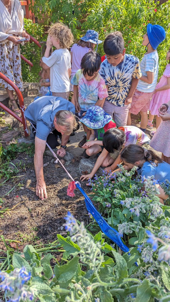 Glenaeon Rudolf Steiner School tweet media