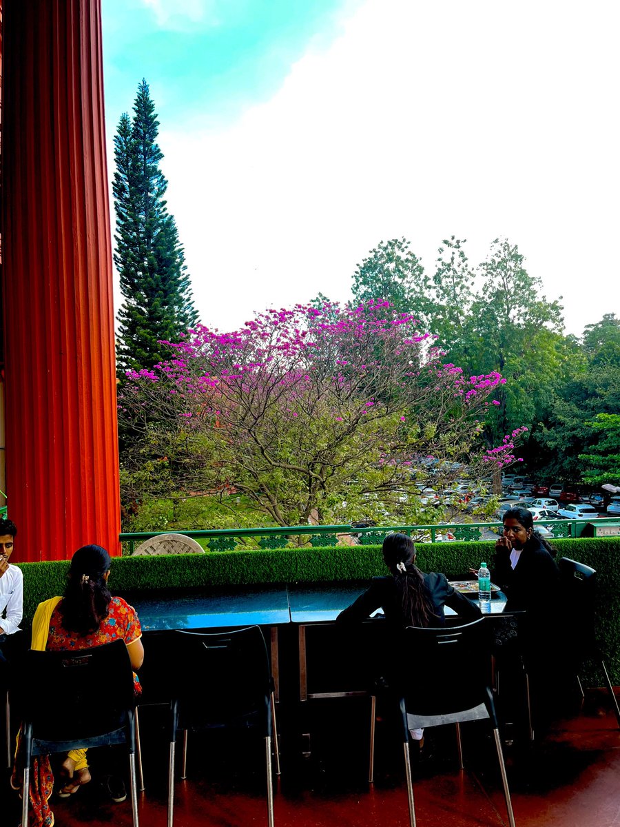 rantinglawyer's tweet photo. It's that time of the year in Namma High Court #KarHC https://t.co/rLV8dD26OT
