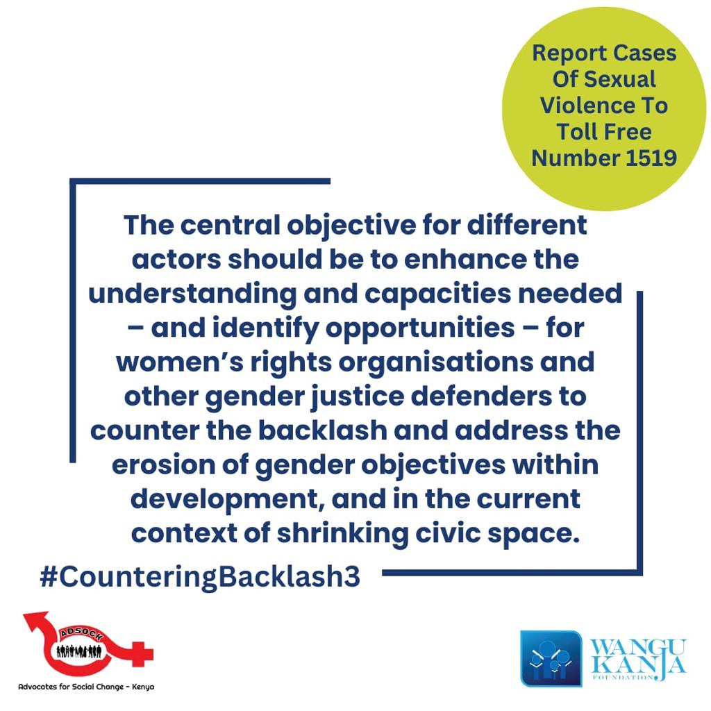 254First's tweet photo. The central objective for different actors should be to enhance the understanding and capacities needed - and identify opportunities - for organisations and other gender justice defenders to counter backlash #CounteringBacklash3 https://t.co/FBc2c6iWpB