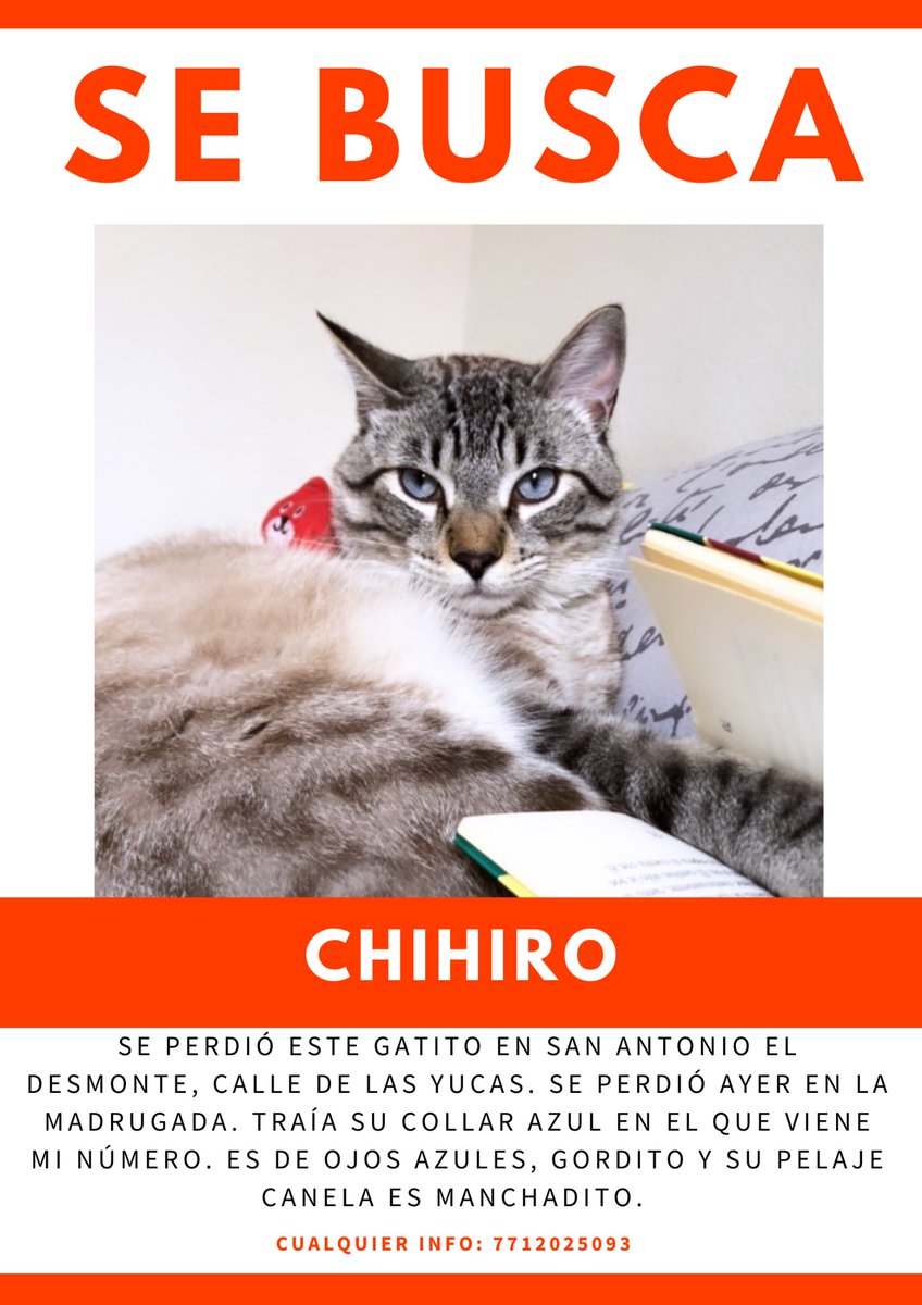 Gracias por compartir