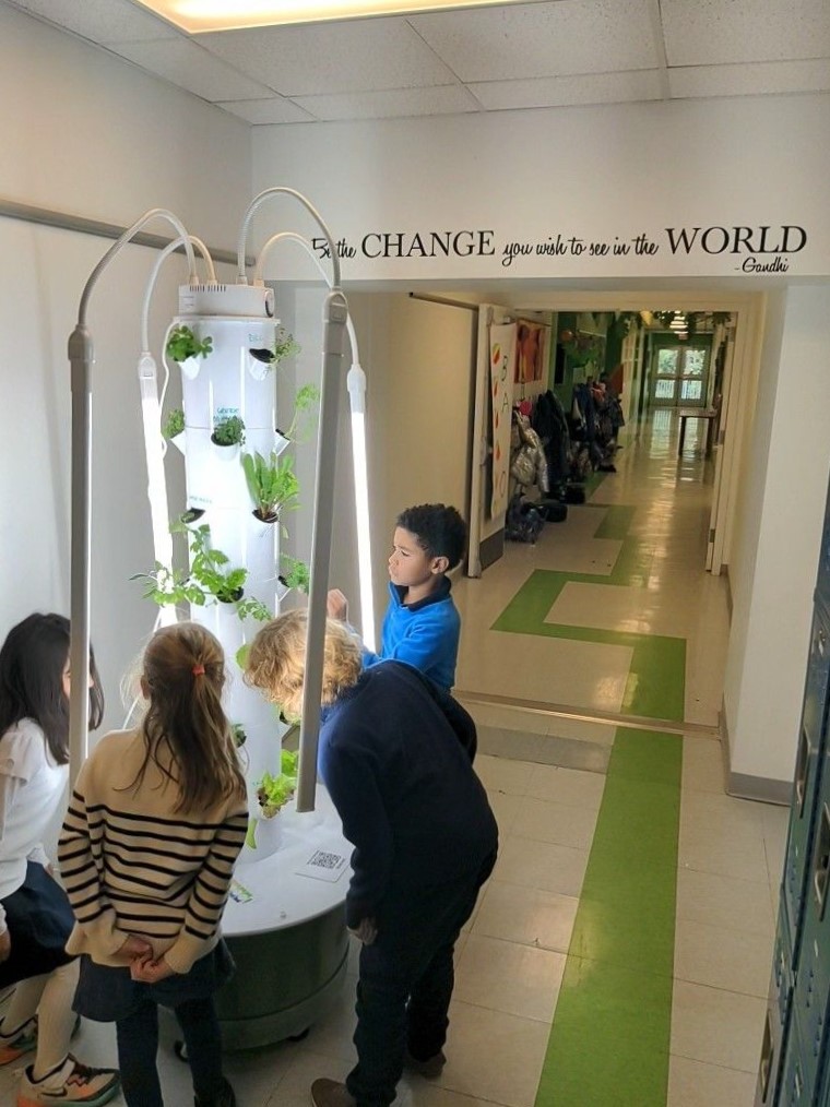 AustinIntSchool's tweet photo. Two vertical hydroponic gardens have joined AIS! Thanks to one of our generous families, our students will be able to grow and enjoy a variety of vegetables, fruits, greens, and herbs. 

#verticalgarden
#austininternationalschool https://t.co/Yd6Ypl6wY2
