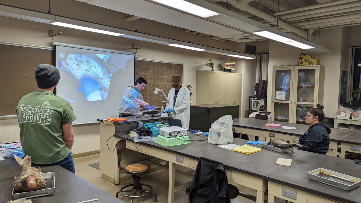 Zach Verzino is an amazing teacher! Thank you for showing us how to extract and identify stomach contents!