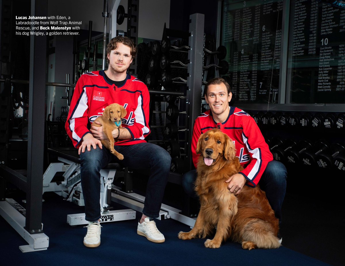 Beck Malenstyn tweet media