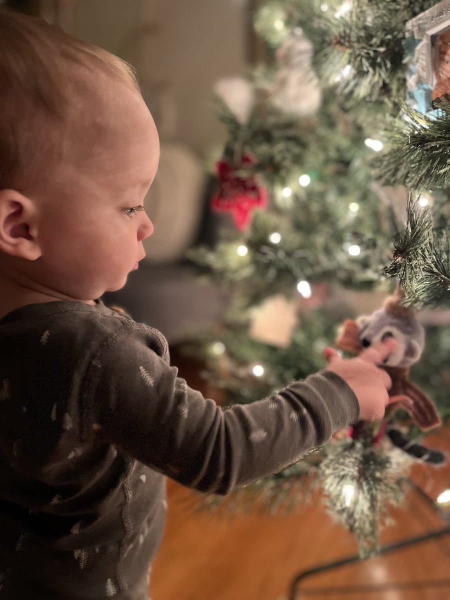 Lunatoons25's tweet photo. Buddy’s second Christmas tree 🎄 https://t.co/B9w3Z94hQ7