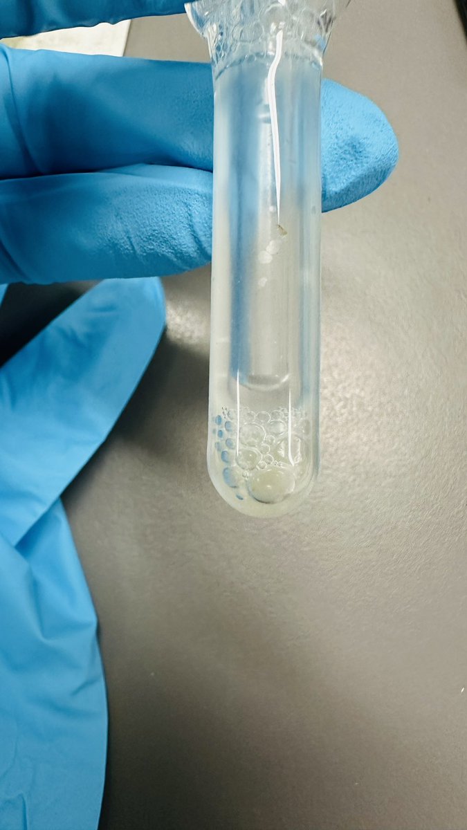 Vanessa Penna Goncalves 🕷 tweet media