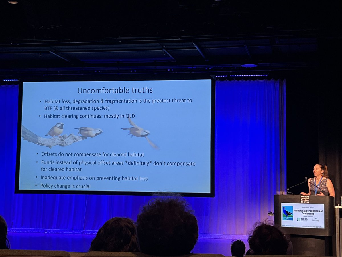 Uncomfortable truths about black throated finch conservation from <a href="/april_reside/">April Reside 🦇</a> at #AOC2023