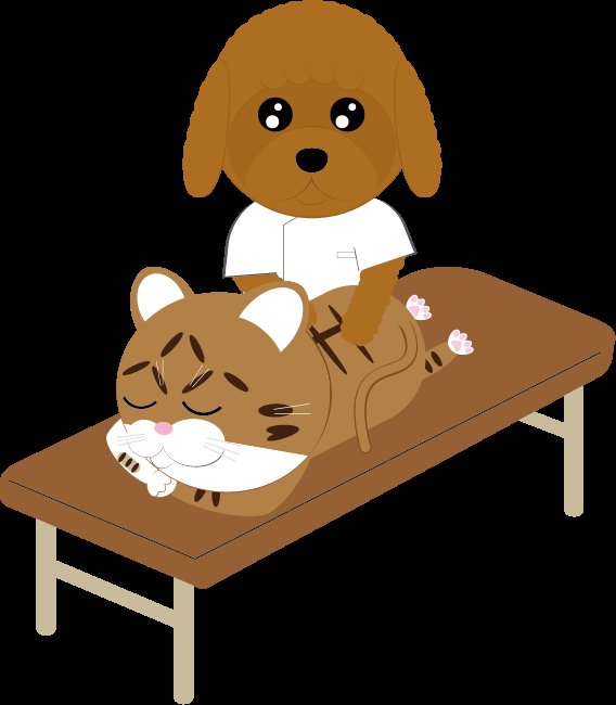 【もみほぐし　60分:３８５０円】

本日も２１時まで営業中です。
ご来店をお待ちしております!!

つくば万博記念公園駅より徒歩１分

☎029-875-8288　　※予約優先

ネット予約では、クレジットカードによる事前決済がご利用頂けます。