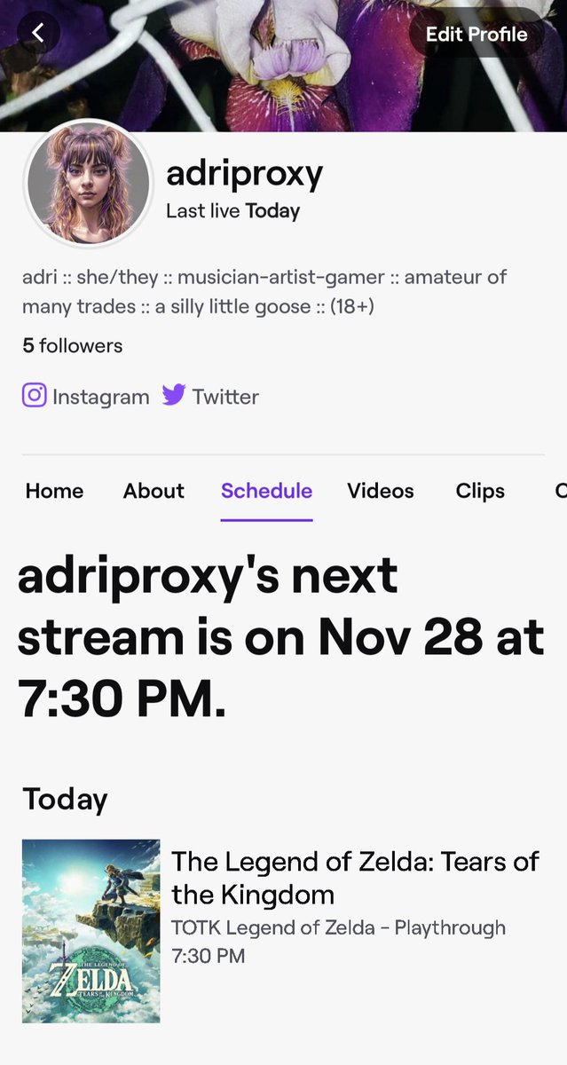 adriproxy's tweet image. Going live! Restarting my nearly completed legend of Zelda TOTK playthrough just so I can stream it for 1 or 2 people. Let's gooooo 💞 twitch.tv/adriproxy