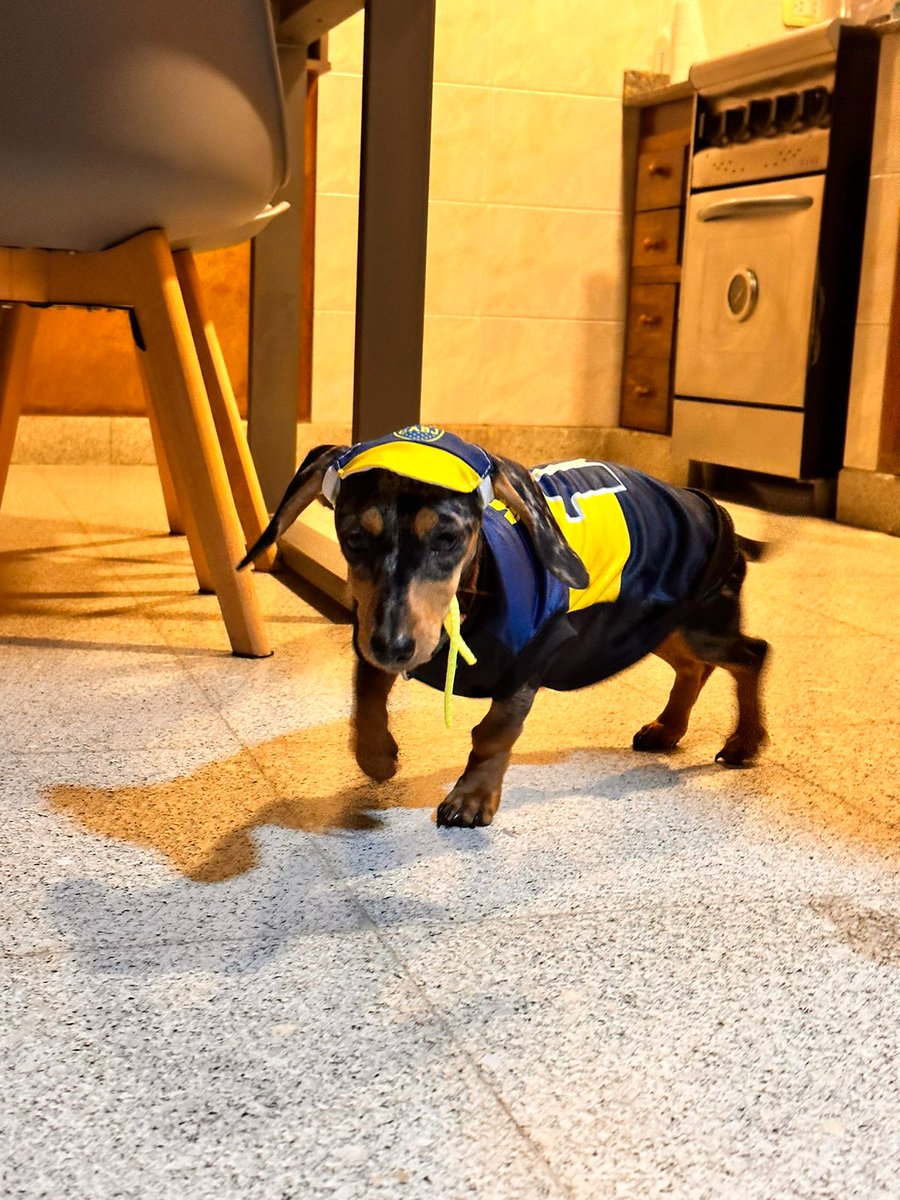 Dale boquita, dale Román ⚽

#bocajuniors #Riquelme #Roman #futbol #Argentina