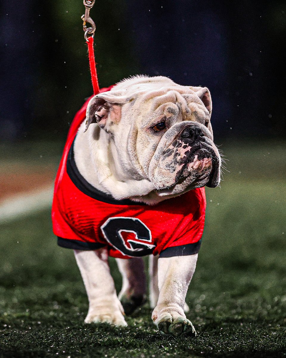 UGAAthletics's tweet photo. The best boy.

#GoDawgs https://t.co/9DB2JDYsQy