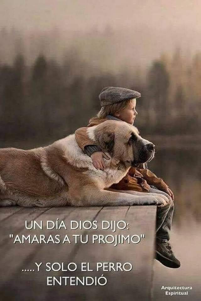 Buenas noches ✨💖