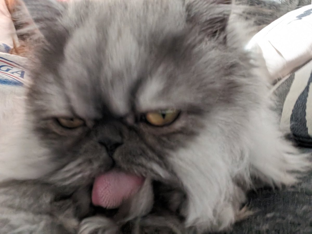 Kristin Brotherton tweet media