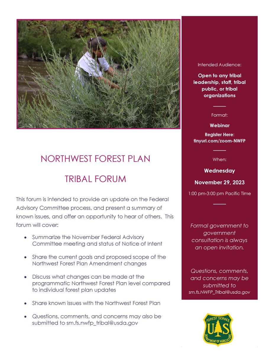 SaveCaliSalmon's tweet image. There will be a Northwest Forest Plan update &amp;amp; discussion Nov. 29, 1-3 pm PST.  The Northwest Forest plan is what governs management of National Forests in the range of the spotted owls (Northern California to Washington)
Register @ tinyurl.com/zoom-NWFP
#landback #fireback