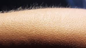 gibsonoma's tweet photo. Every time a Real Housewife rips her mic off https://t.co/IFtZKmsaBe
