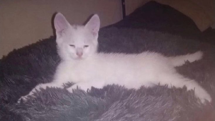 CLIMATACTICS's tweet image. murdock.⠀  man I just want to write . all my accounts are dry