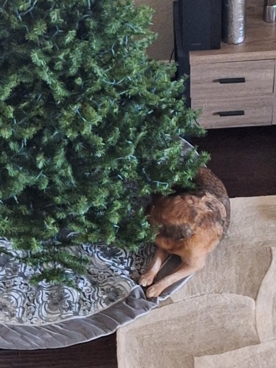 Meidas Michelle tweet media