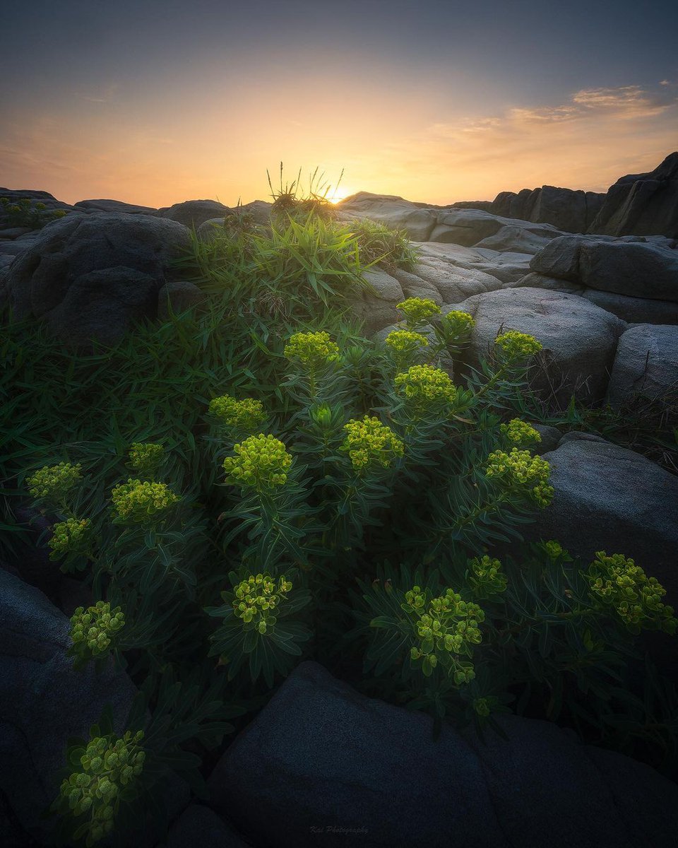 Go your own way and see your own scenery