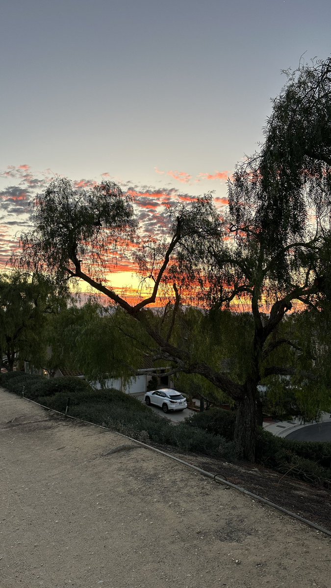teddyomondi's tweet photo. Southern California things #mtboc #ocmtb #sunrise #shortonanIphone https://t.co/19bLFMuJGo
