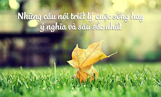 Trong xã hội này, chúng ta thường không làm những việc to lớn, bởi vì chúng ta sợ mắc lỗi. Thực tế là, bất cứ thứ gì chúng ta làm cũng sẽ có vấn đề trong tương lai. Nhưng điều đó không thể ngăn chúng ta bắt đầu.