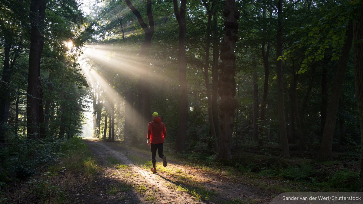 NewsBFM's tweet photo. 1. Selangor plans to create a 120km trail across the Central Forest Spine from Hulu Selangor to Hulu Langat.

Selangor MB Amirudin Shari said the state will declare the permanent forest reserve (HSK) a new tourist attraction for those into hiking and jungle-trekking activities. https://t.co/CwILvIs3gq
