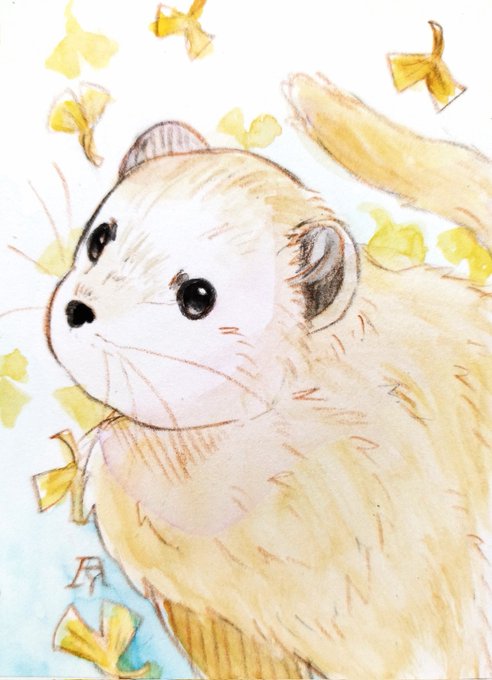 「hamster」 illustration images(Latest)｜5pages