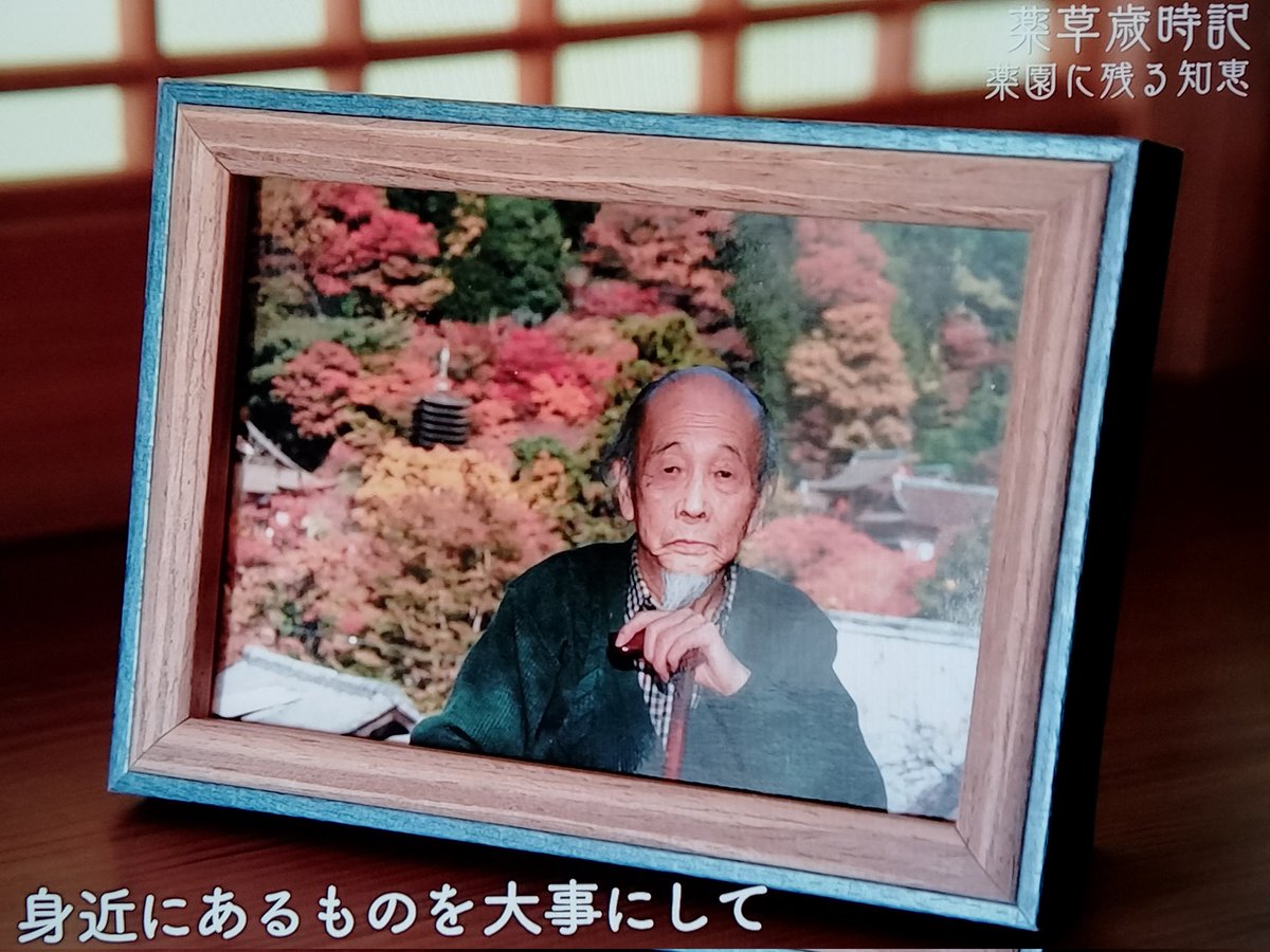 imasakaya tweet picture