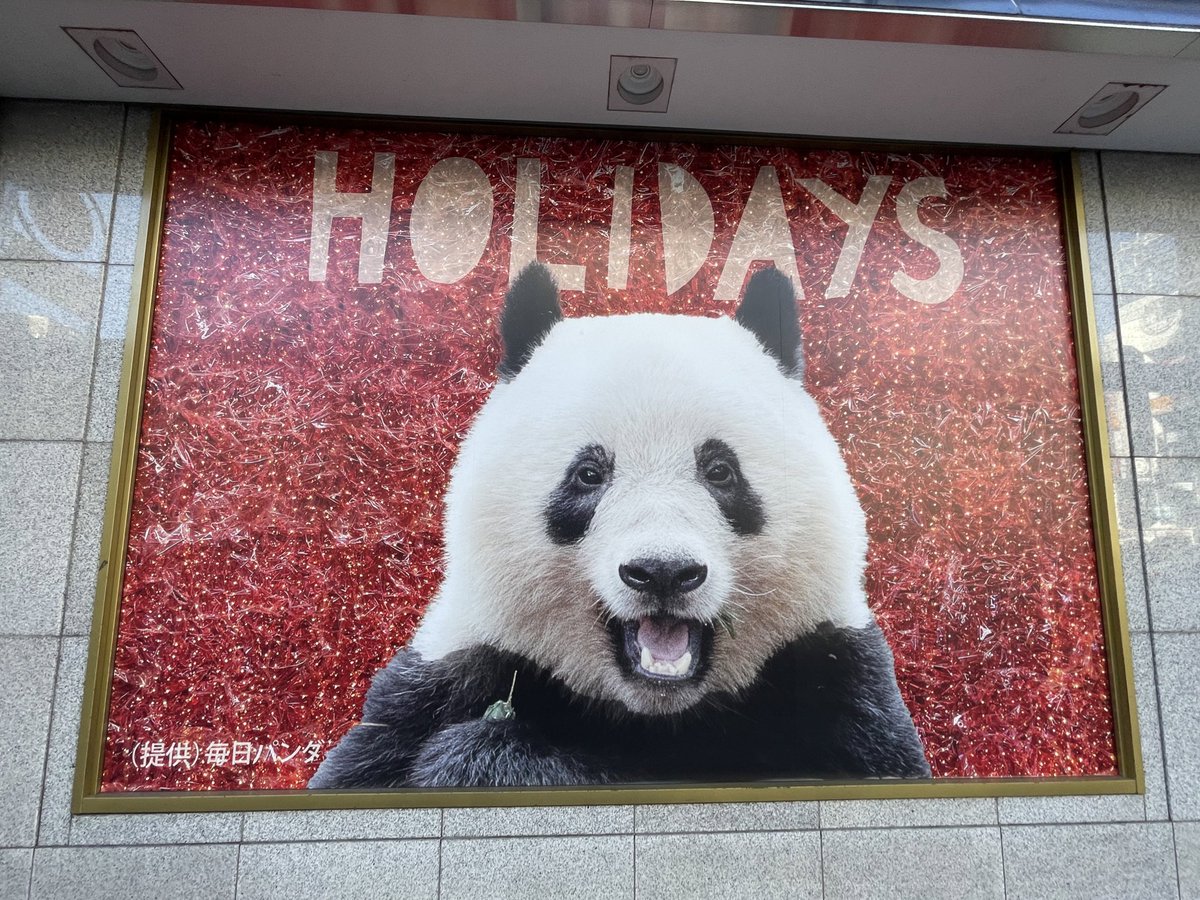 お顔シートも素晴らしいのですが、 今回は、な、なんと！🥹✨ 初めての