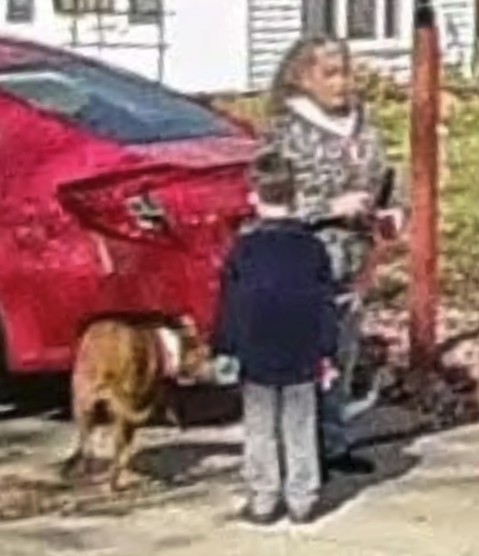 TupperGang's tweet photo. Chris Huhnke just went on tour and visited #MicTupper #TupperGangLeader's hideout on G-Maps! THIS TIME MRS. TUHOLKA WAS SPOTTED OUTSIDE!!!

https://t.co/3EjkdwZwUn https://t.co/UQIuAHSjeh
