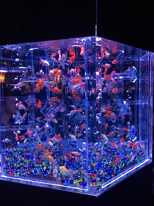 ideabox7's tweet image. ✅도쿄 중심 긴자 미츠코시 백화점에서 만날 수 있는 도쿄 긴자 아트 아쿠아리움 미술관입니다. - ALLTHATTRAVEL - go.shr.lc/3N7ajAJ