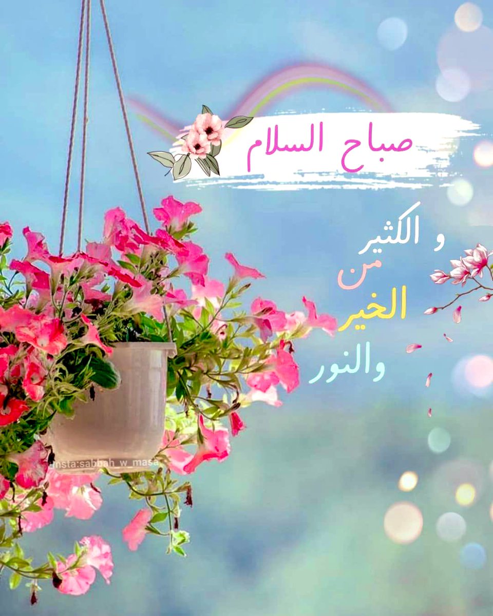 #صباح_الخير 
     ثم ؛ 

ولنا في الصباح 🌤️
 إشراقٌ وبُشرى  
 وبالصباح تزدهرُ الأماني   

يوم جديد 
واستعنَّا بالله على الحياة ,,, 

     أَصْـبَحْنا وَأَصْـبَحَ المُـلْكُ لله 🍃