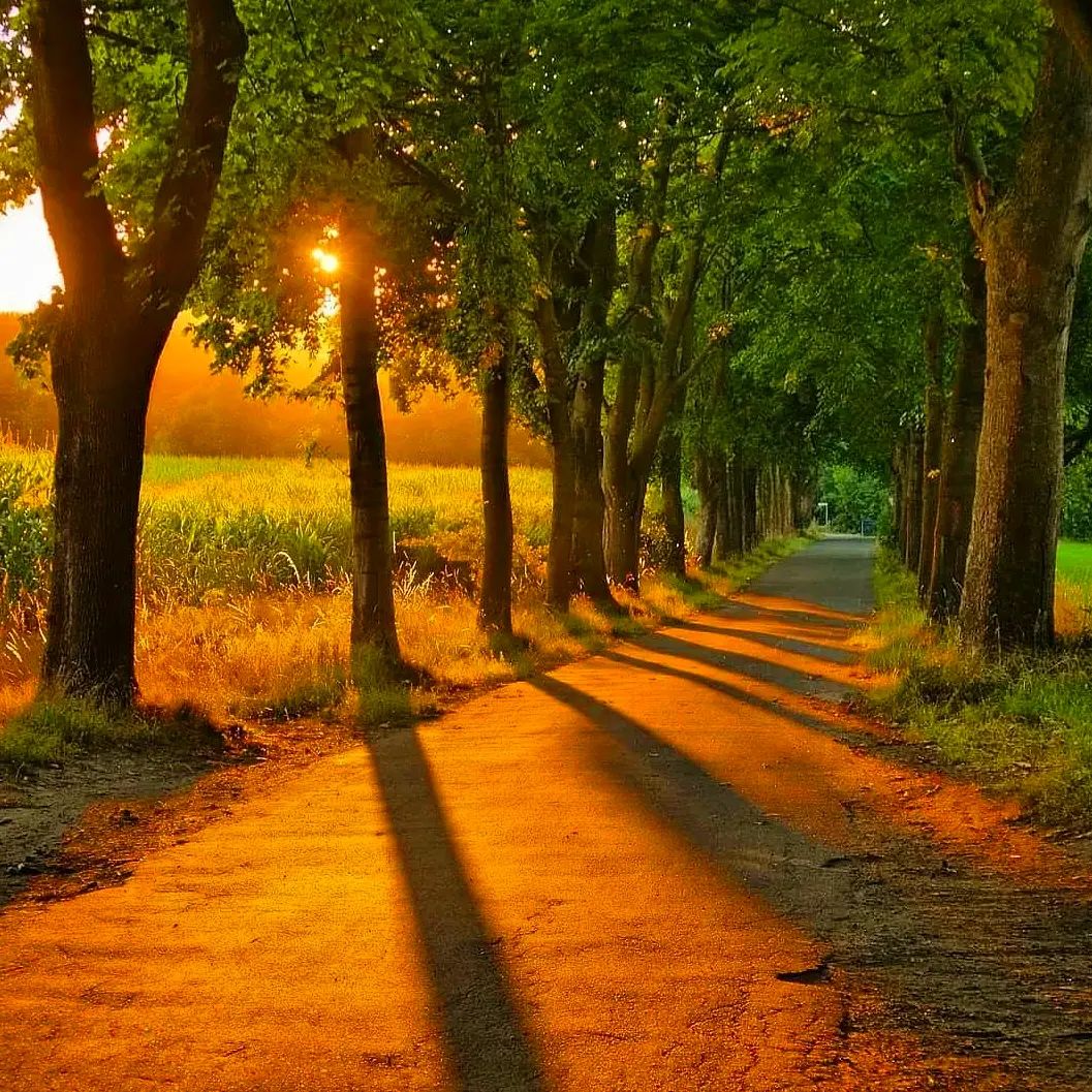 At the end of the trip, the scenery will remain in my heart and I will appreciate it slowly throughout my life.