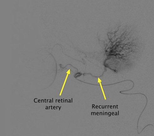 David Altschul tweet media