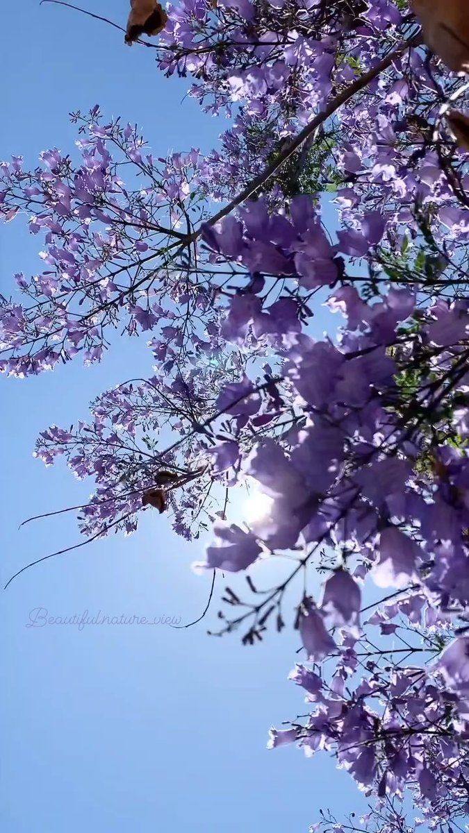 A scholar is like climbing a mountain. He will gain height by moving. It is like sleeping for a long time, and he will gain strength after a long time.