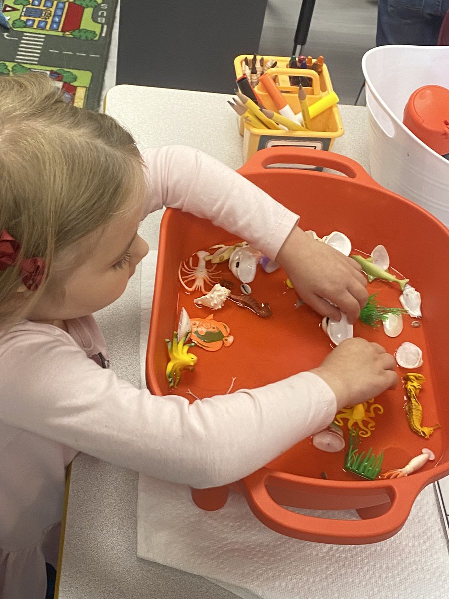 Kellsp21's tweet photo. @plainviewElem VPK has been very busy taking a deep dive into the coral reef habitat! We have learned so much about the environment and animals while reading lots of informational texts. #otterlyAwesome #excellenceIsInPlainView https://t.co/c6UCWYWPgd