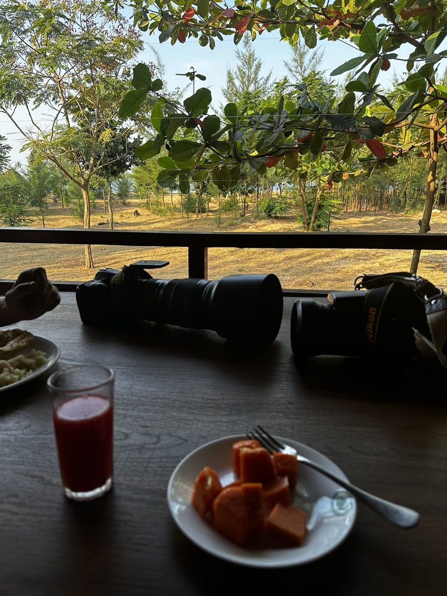 vrundavs's tweet photo. #breakfastwithview
#devbagh #karnataka
#mystatemypride💖
@vijayashankara https://t.co/kuwE7TOQlg