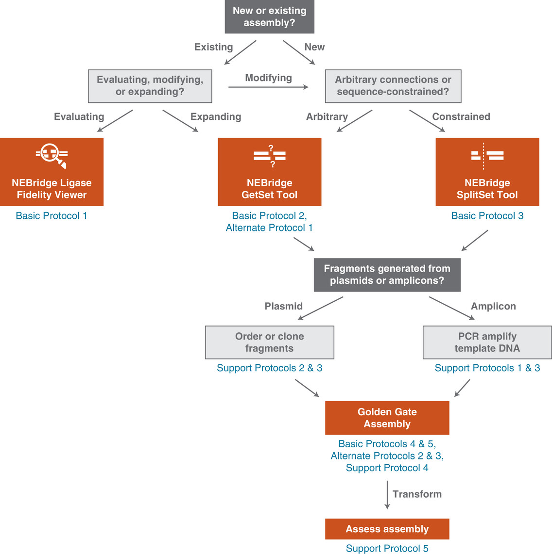 TiffanyPang11's tweet photo. People, this is your Golden Gate Assembly bible.
Recent pub that covers strategic planning from selection of restriction specificity, choice of design tools, in silico validation of assembly to generation of fragments for assembly.

https://t.co/De0SSmJjMj https://t.co/8zHJQTJoB3