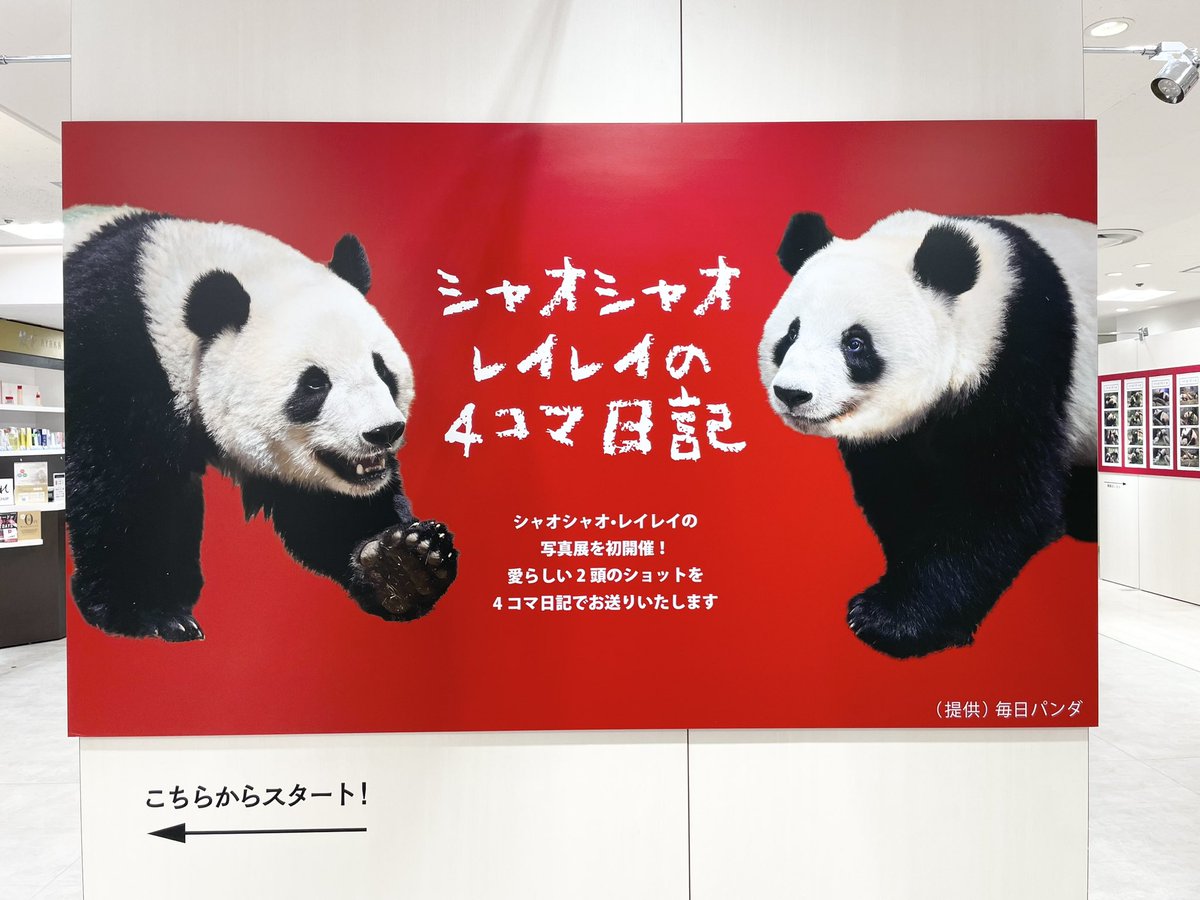 イベント情報】「シャオシャオレイレイの 4コマ日記」を開催中！毎日